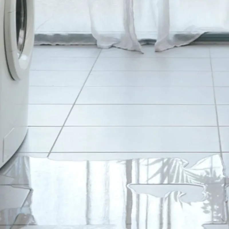 Appliance Leak Cleanup in Youngstown, FL