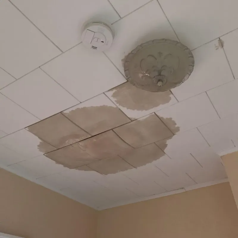Ceiling Water Damage Repair in Youngstown, FL