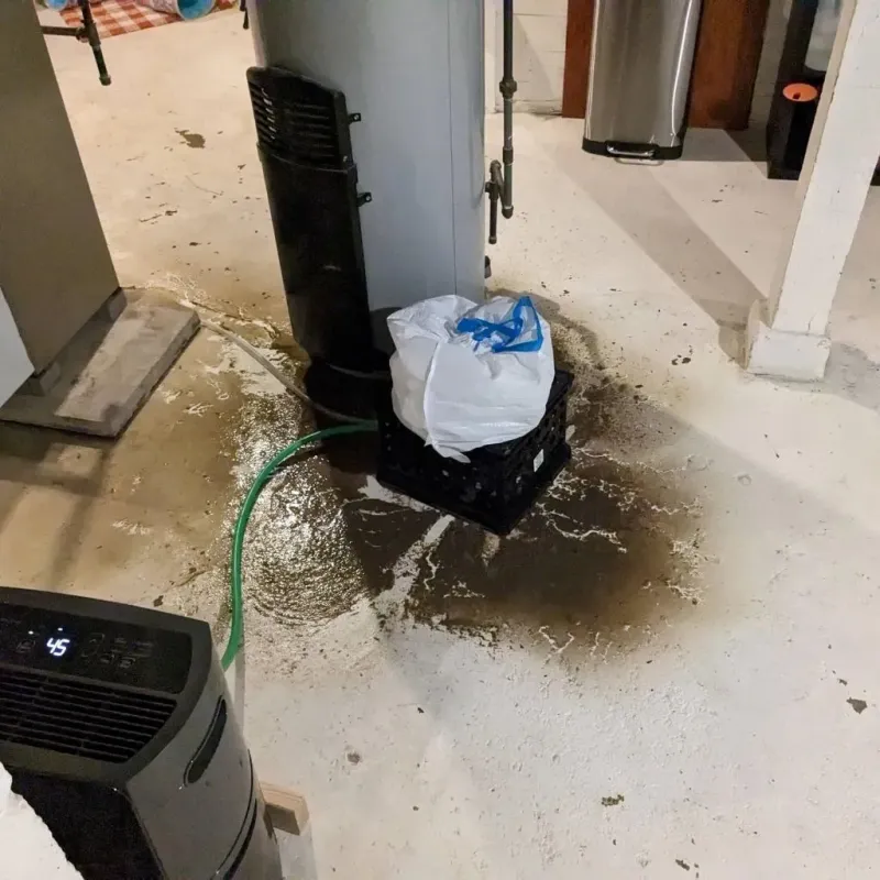 Sewage Backup Cleanup Service in Youngstown, FL
